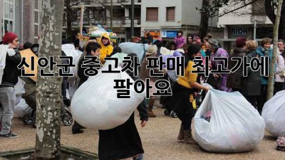 신안군 중고차 판매, 최고가에 팔아요!