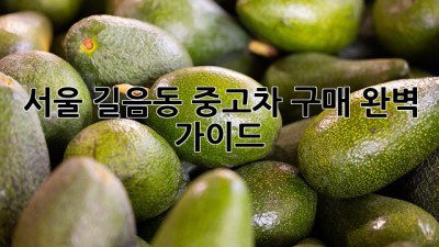 서울 길음동 중고차 구매 완벽 가이드