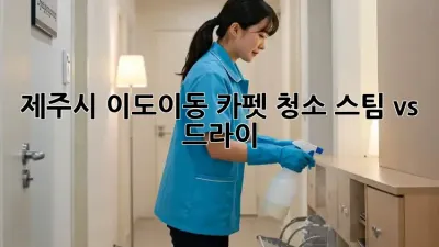 제주시 이도이동 카펫 청소, 스팀 vs 드라이?